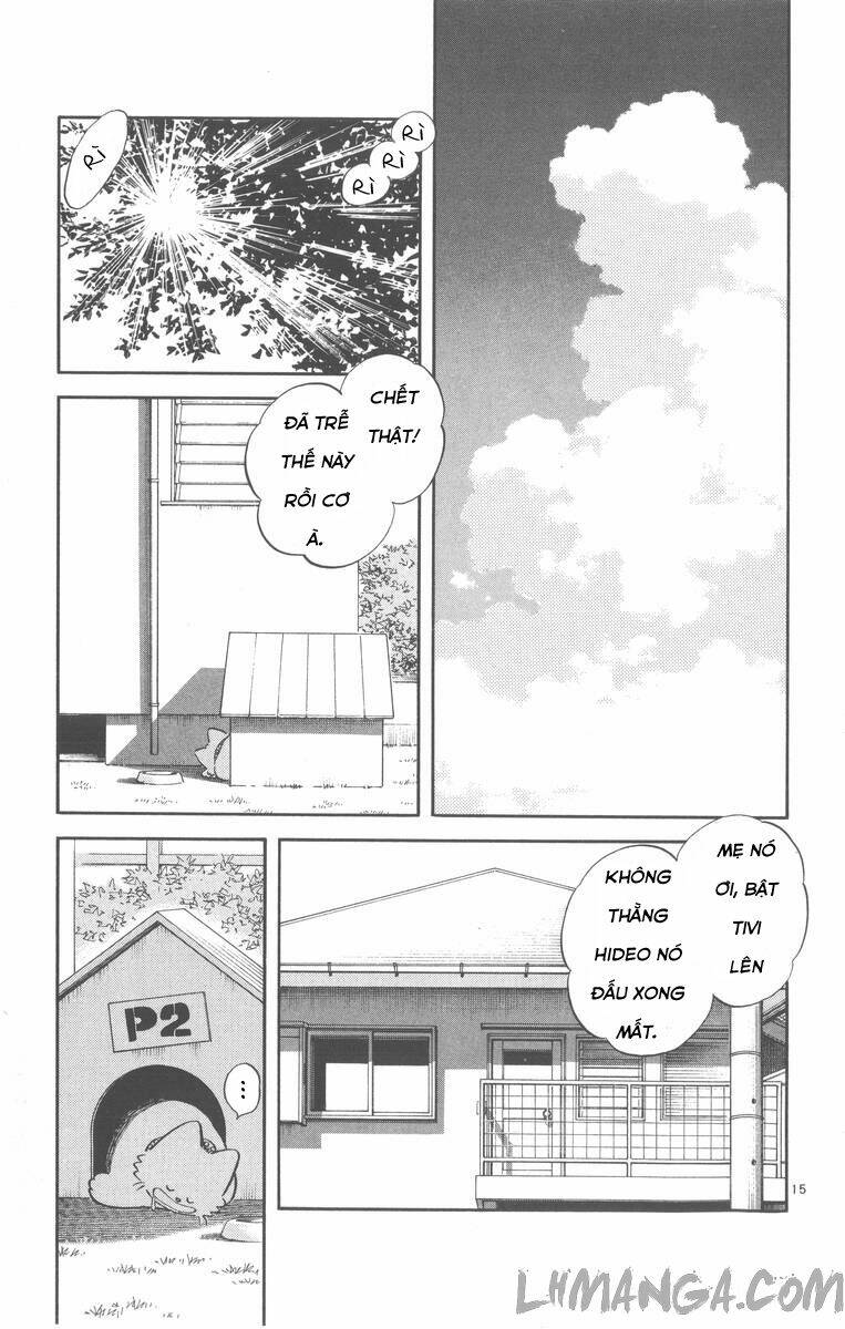 H2: Chapter 175