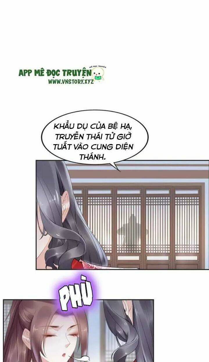 Nhất Sinh Nhất Thế Tiếu Thương Khung: Chapter 81