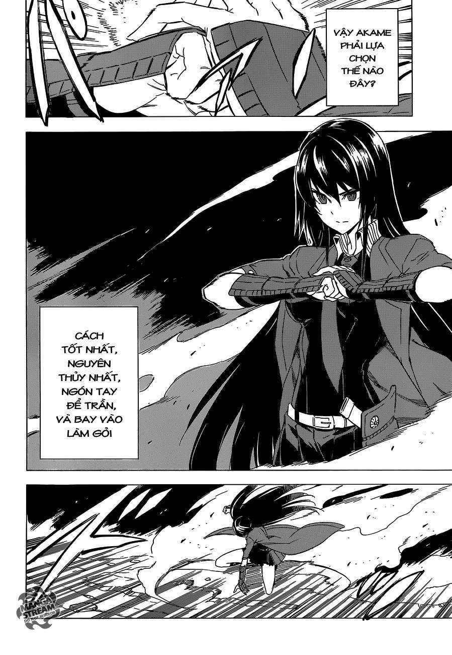 Akame Ga Kiru: Chapter 59.2