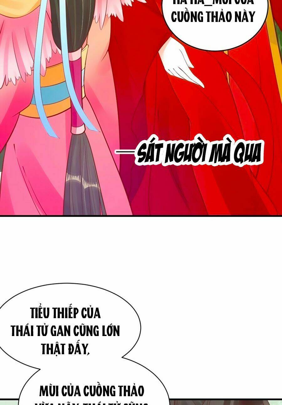 Thịnh Thế Lê Hoa Điện: Chapter 33