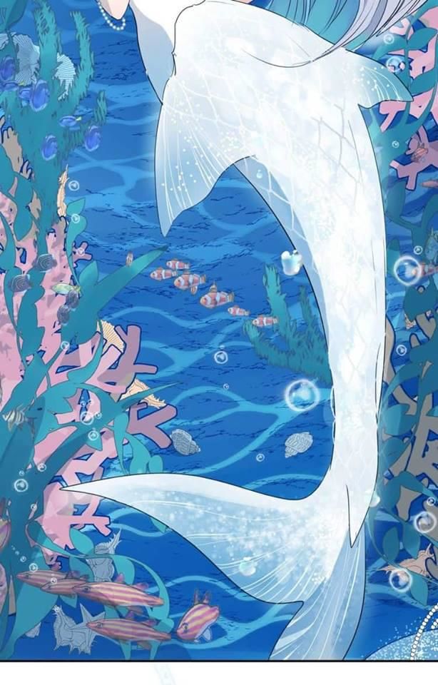 Bộ Váy Của Nhân Ngư: Chapter 1