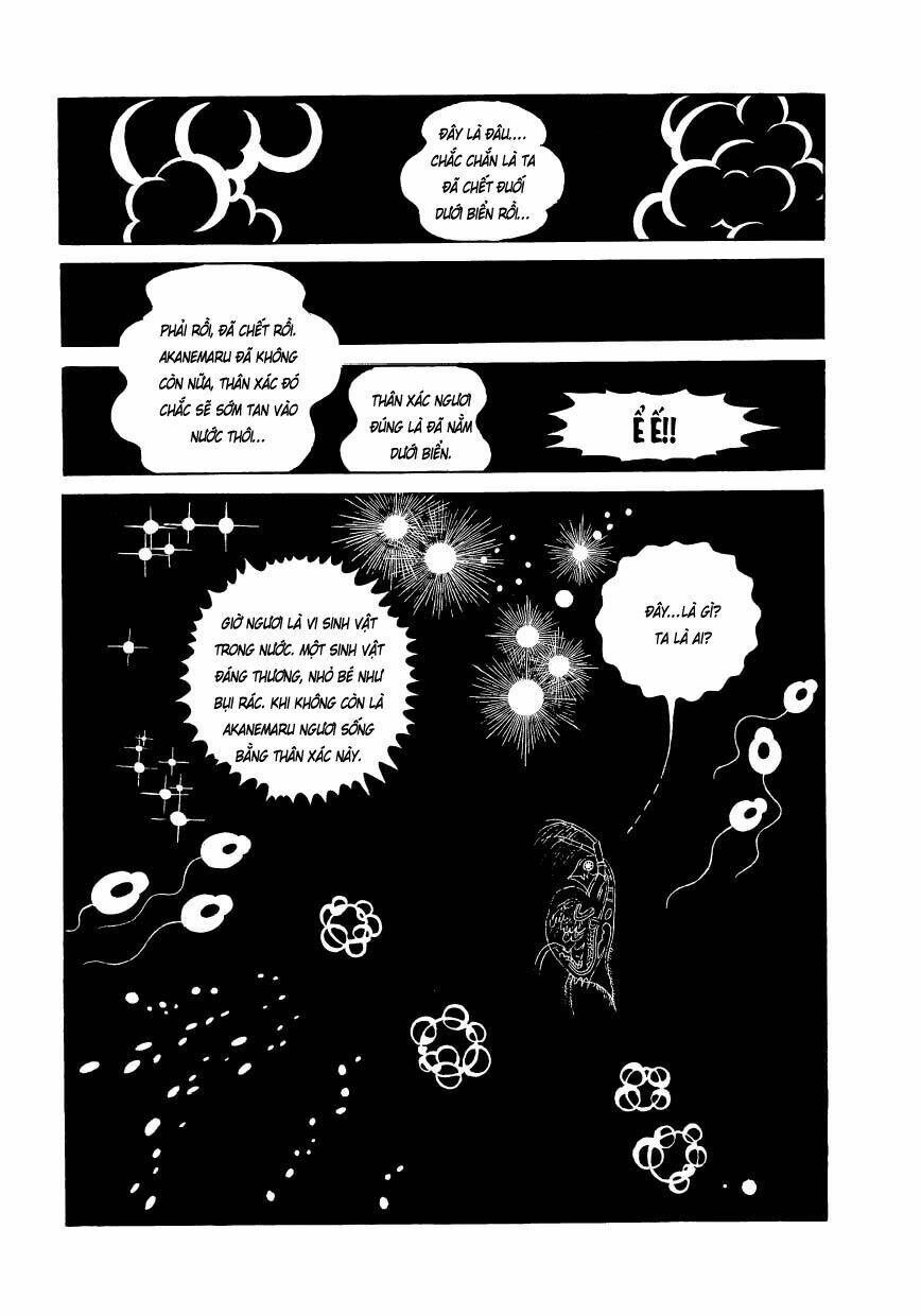 Chim Lửa: Chapter 48