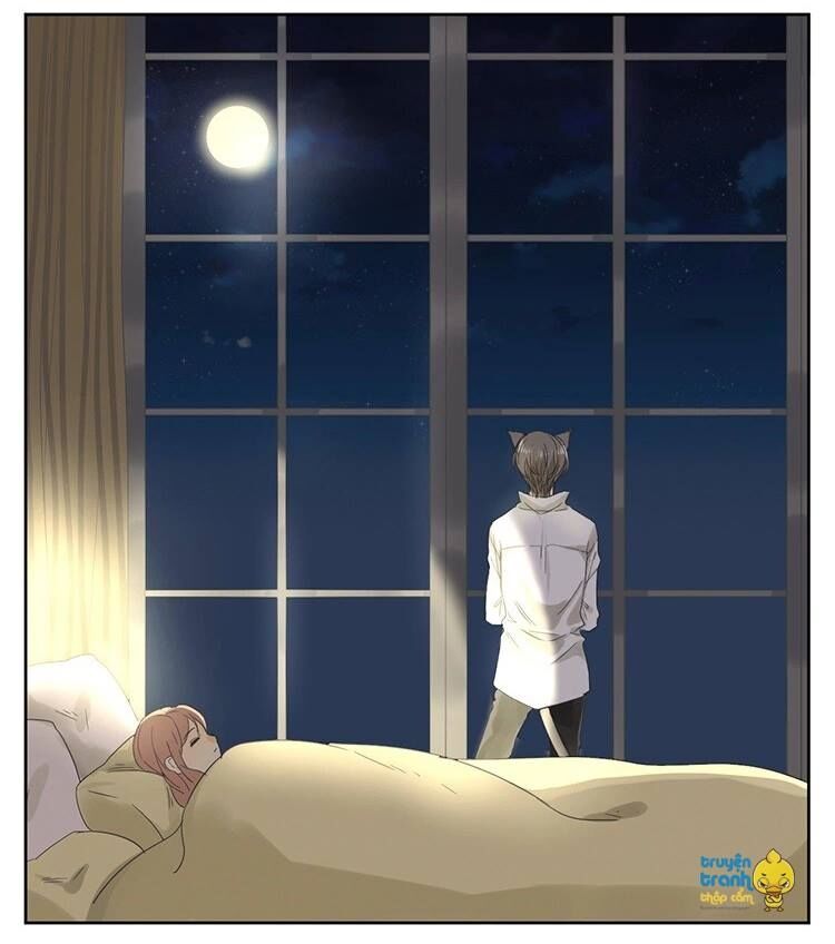 Cứu mạng ! Loài mèo thống trị thế giới rồi !: Chapter 15
