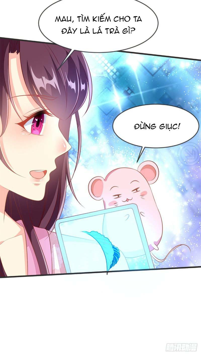 Đế Hoàng Chi Thần Y Khí Phi: Chapter 32