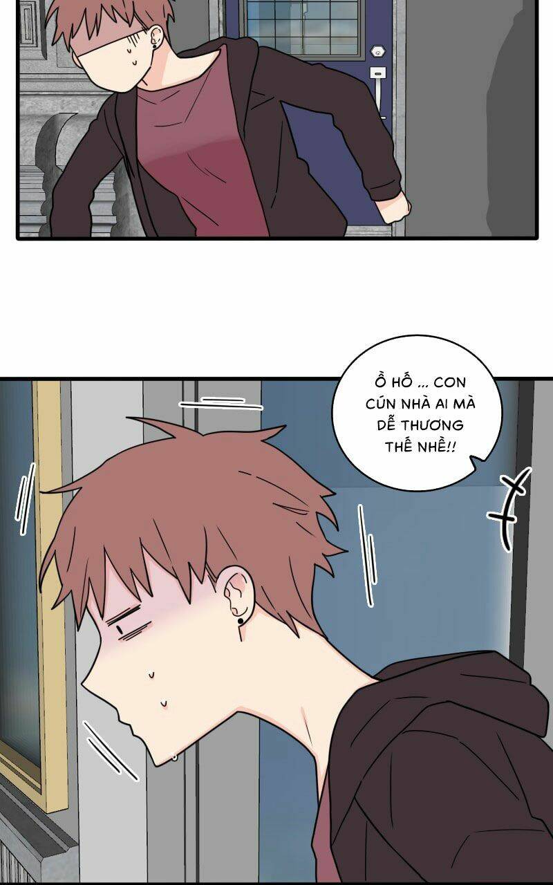 Not So Shoujo Love Story: Chapter 16