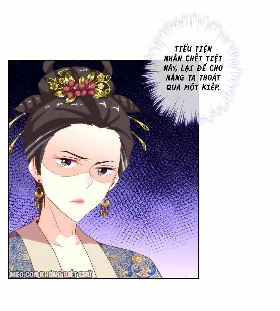 Ồ, Sủng Phi Đại Nhân Của Ta: Chapter 4