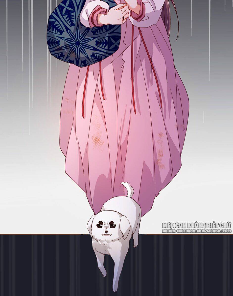 Boss Khủng Bố Chiếm Đoạt Ta: Chapter 6