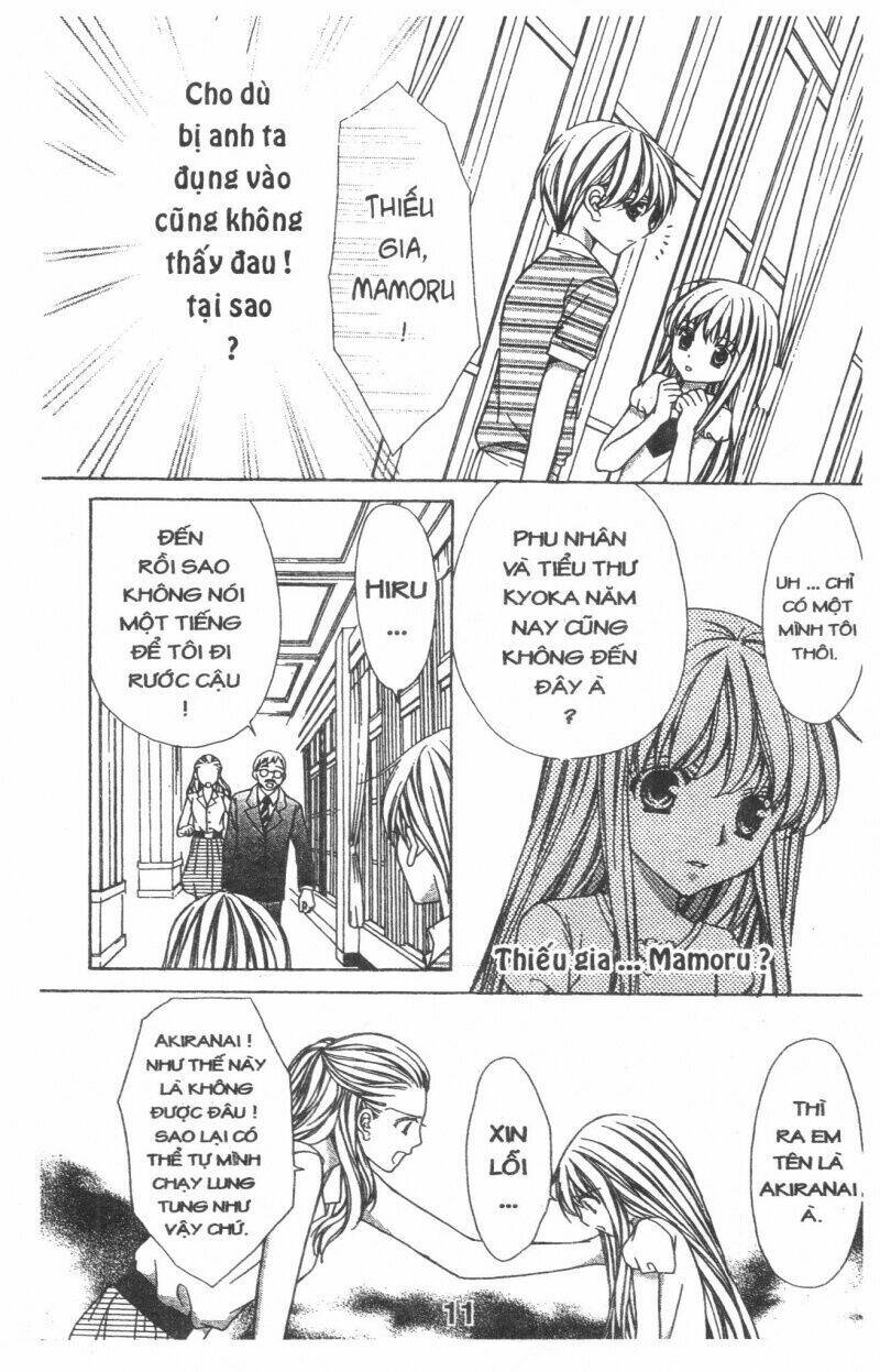 Trái Tim Kim Cương: Chapter 1