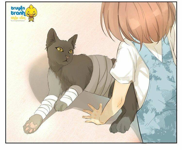Cứu Mạng! Loài Mèo Thống Trị Thế Giới Rồi!: Chapter 24