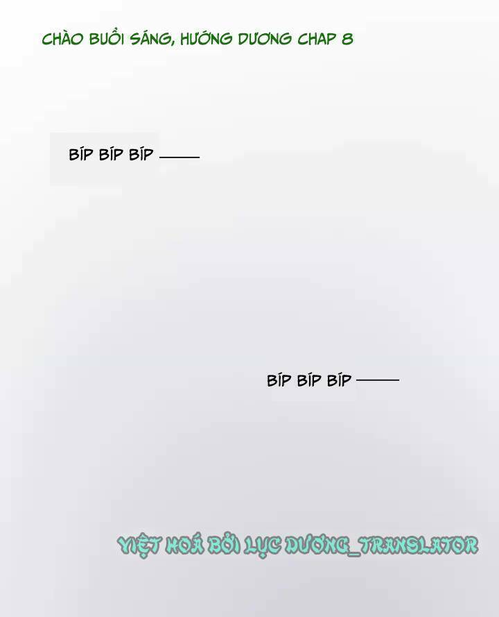Chào Buổi Sáng, Hướng Dương: Chapter 8