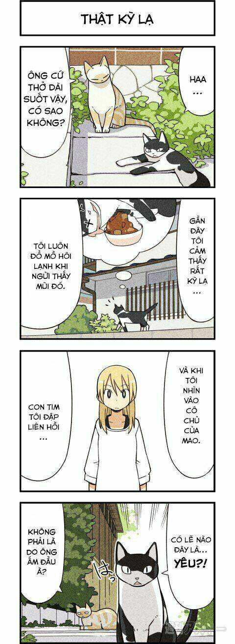 We Are Cat: Chapter 5