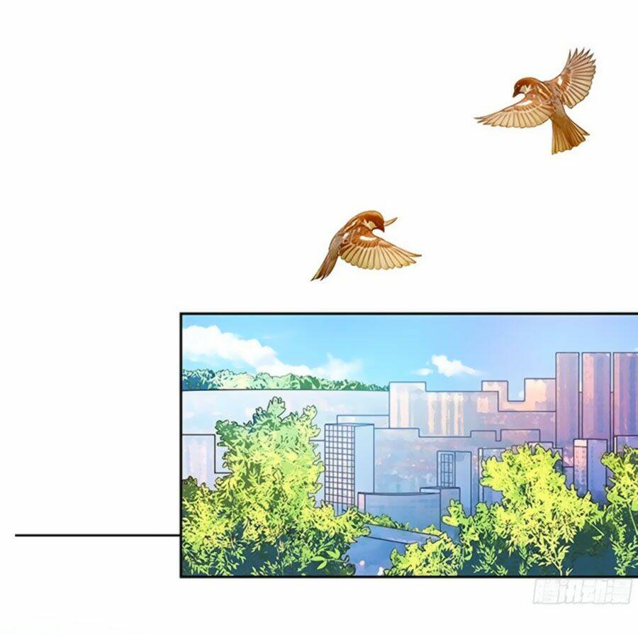 Bạn Trai Là Ngôi Sao: Chapter 125