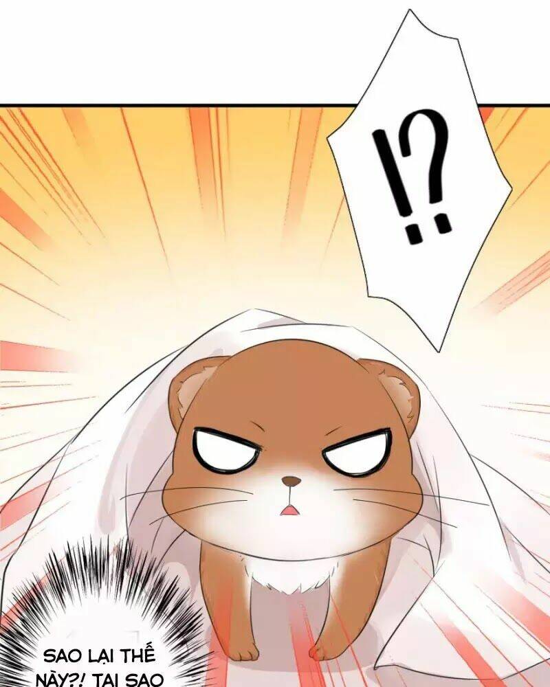 Hành Trình Sủng Đế Cơ: Chapter 2