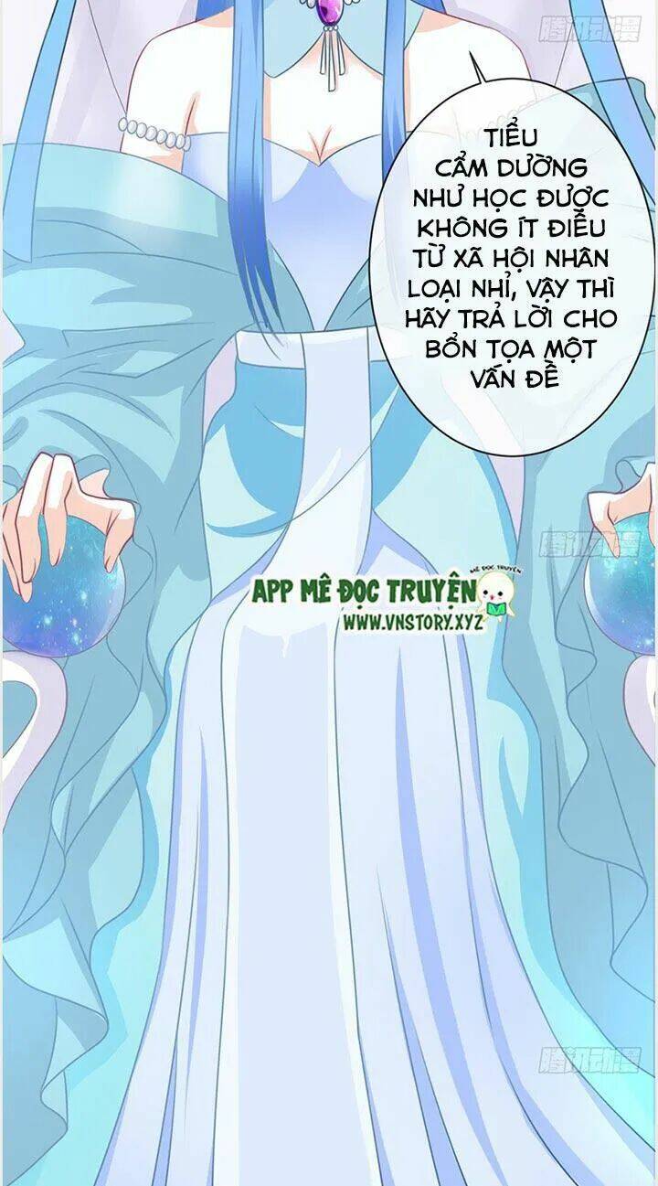 Cẩm Lý Thiếu Nữ Của Tôi: Chapter 24