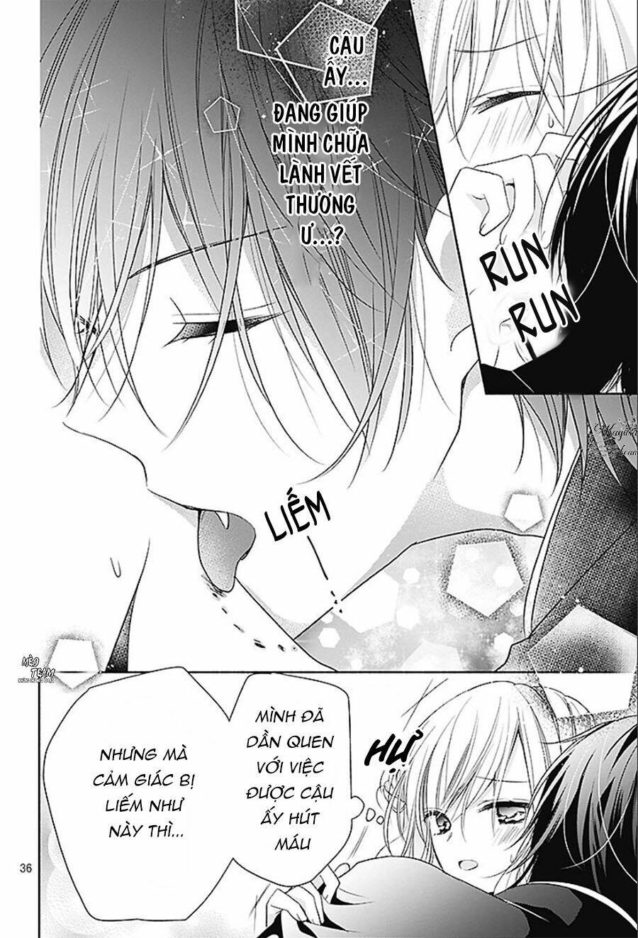 Ma Cà Rồng Và Thiếu Nữ Hoa Hồng: Chapter 9