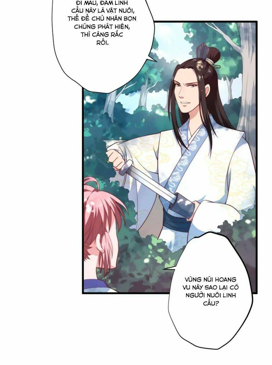 Khuynh Thế Y Phi Muốn Bỏ Chồng: Chapter 9