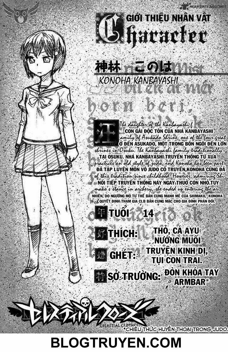 Celestial Clothes: Chapter 8.5