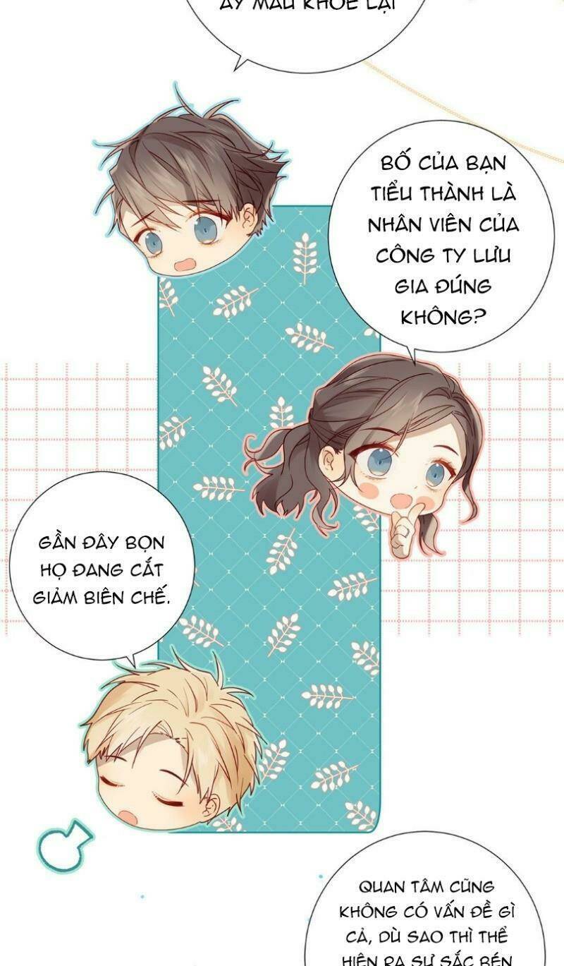 Lời Thề Như Sương Triều: Chapter 18