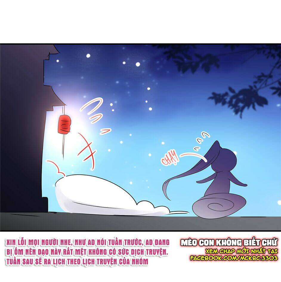 Báo Cáo! Đế Quân Ngài Có Độc!: Chapter 19