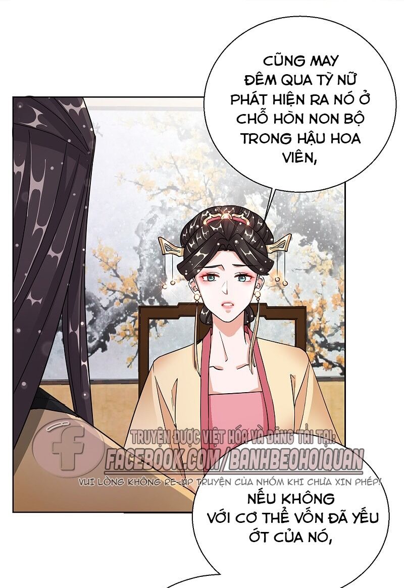 Công Lược Trưởng Thành Của Vương Phi: Chapter 21
