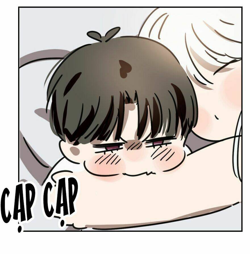 Truy Bắt Ngao Ngao: Chapter 17