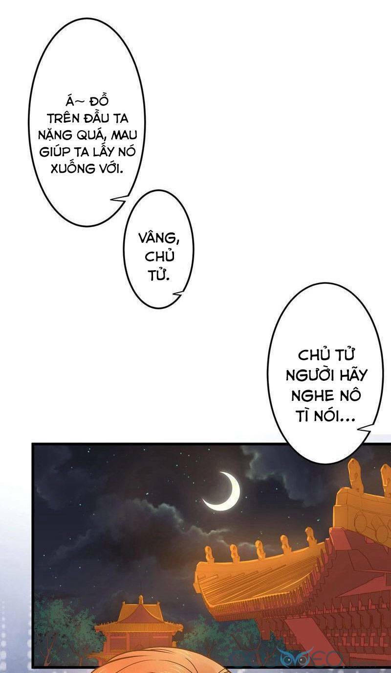 Quý Phi Này Có Chút Cơ: Chapter 2