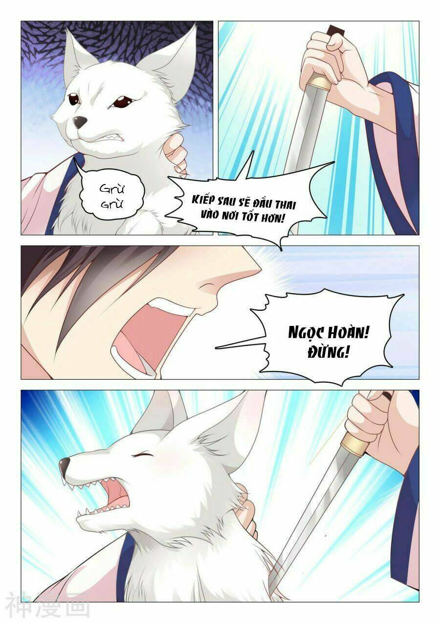 Dương Quý Phi Là Lính Đặc Chủng: Chapter 42