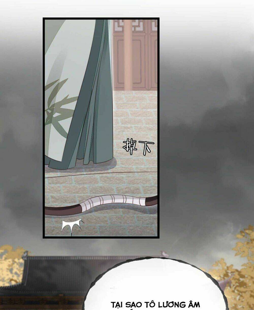 Mau Xuyên Không Rửa Tội Cho Nhân Vật Phản Diện: Chapter 62