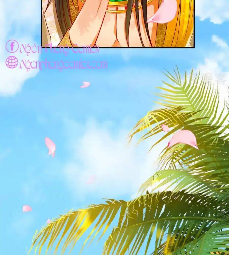 Sủng Hậu Của Vương: Chapter 4