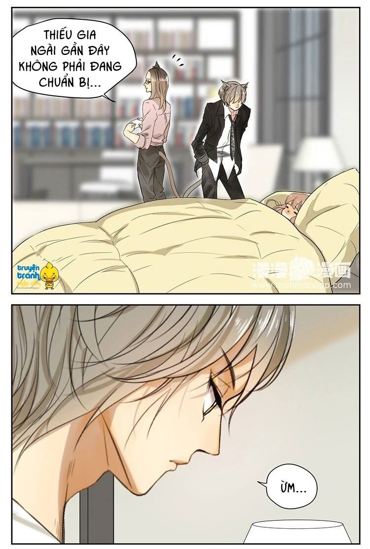 Cứu mạng ! Loài mèo thống trị thế giới rồi !: Chapter 14