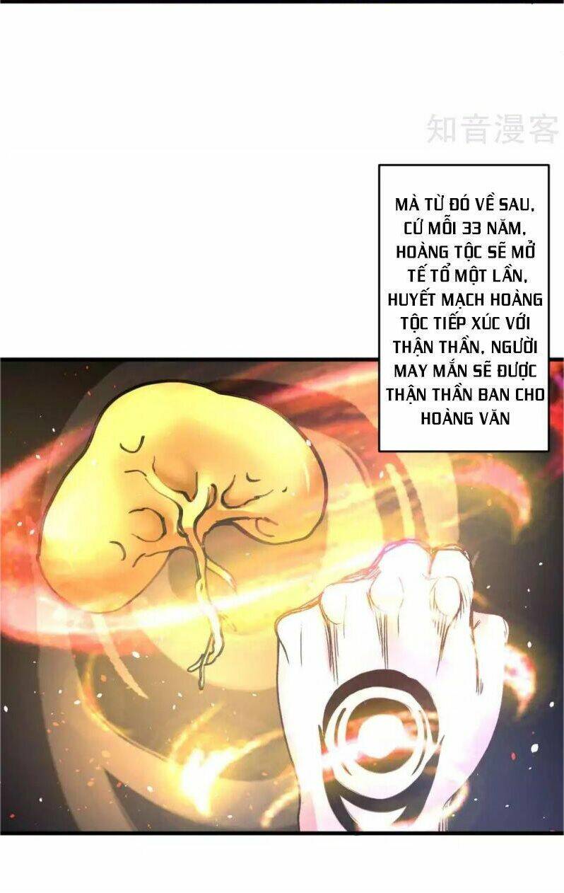 Tối Cường Đại Biểu Hoàng Kim Thận: Chapter 113