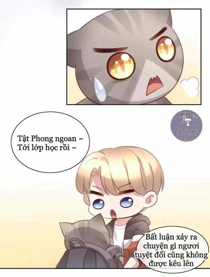 Dưới Móng Vuốt Mèo: Chapter 21