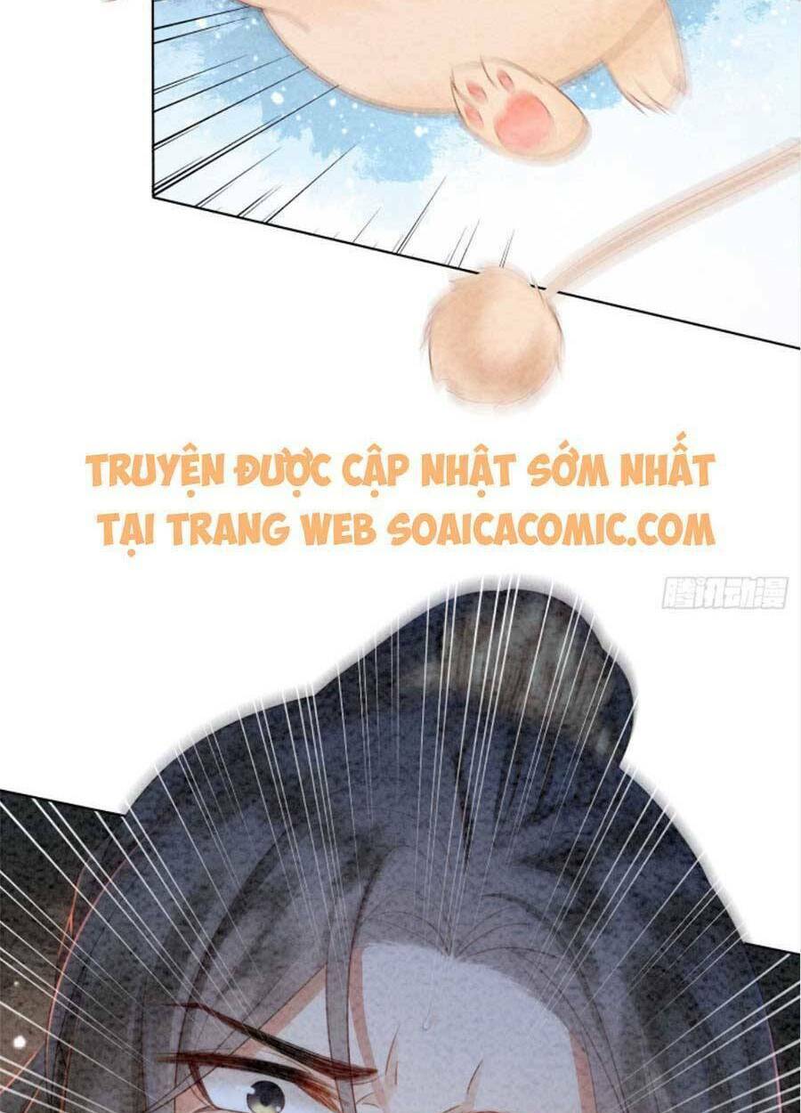 Bắt Đầu Hủy Hôn Để Công Lược Vương Gia: Chapter 27