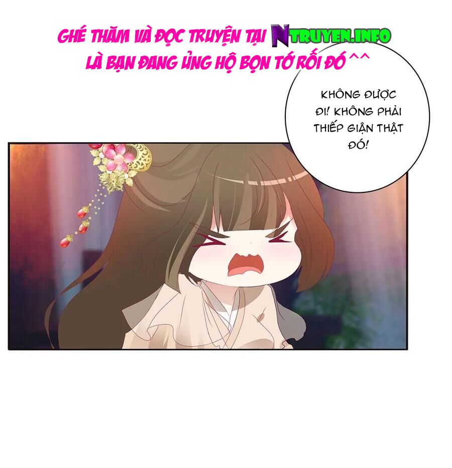Thông Linh Phi: Chapter 597
