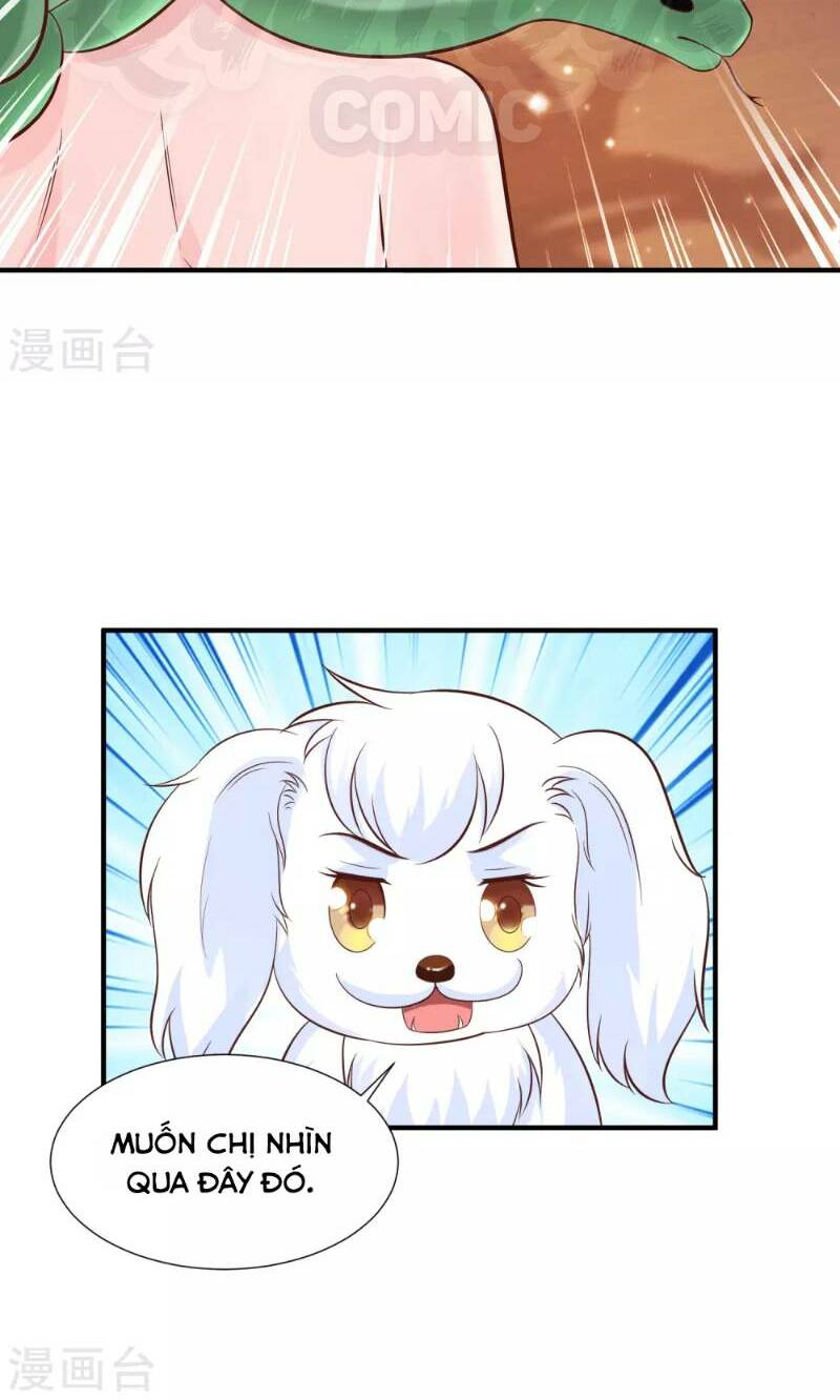 Tối Cường Vận Đào Hoa: Chapter 81