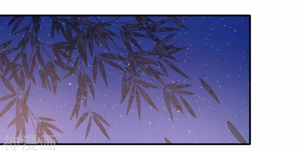 Khuynh Thế Y Phi Muốn Bỏ Chồng: Chapter 135