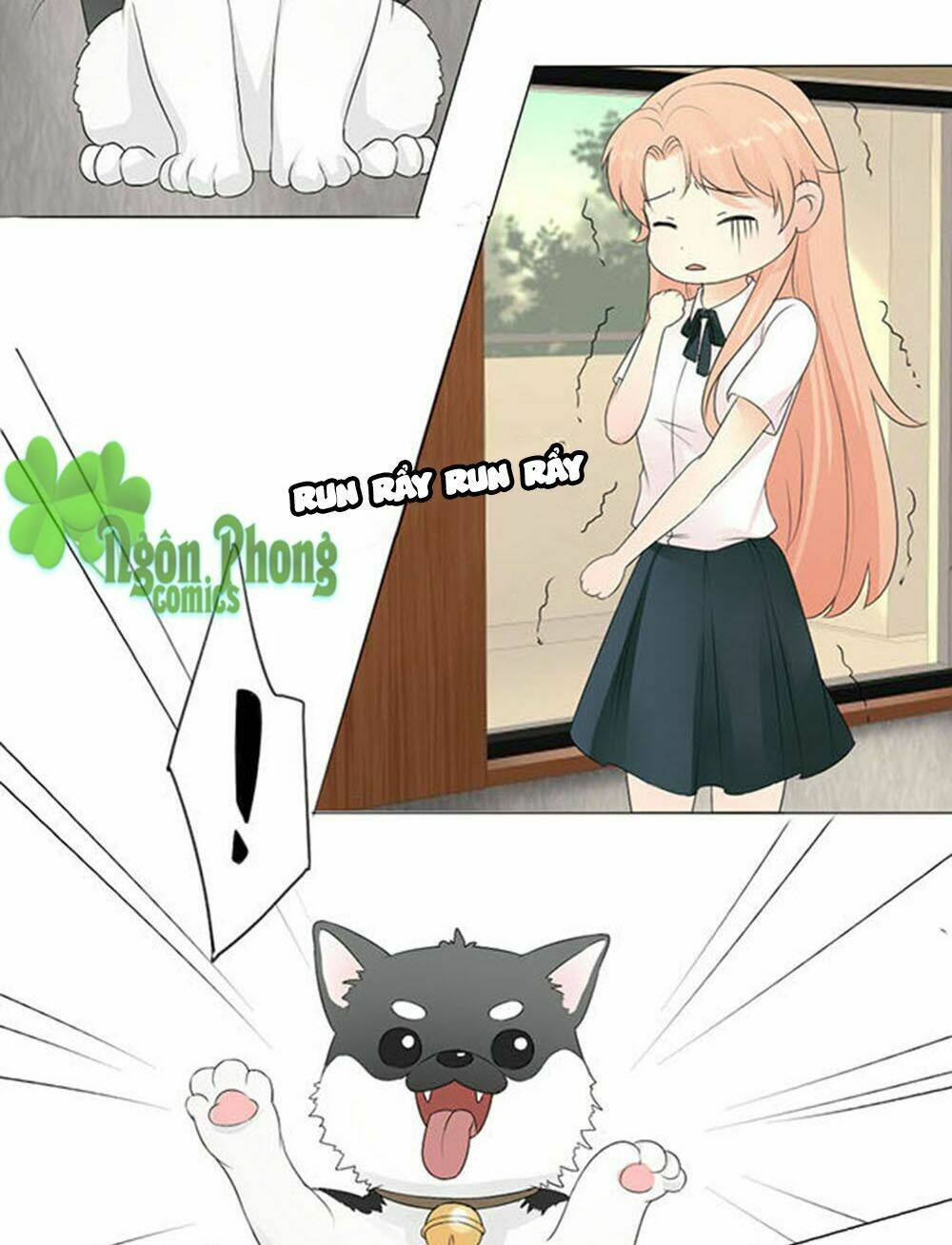 Tổng Tài Bá Đạo Là Gay: Chapter 5