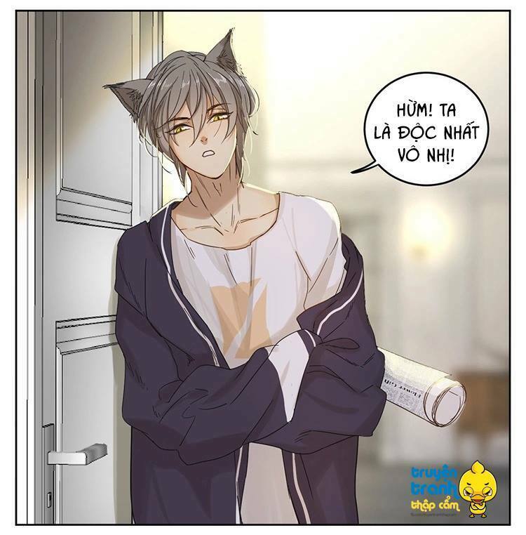 Cứu mạng ! Loài mèo thống trị thế giới rồi !: Chapter 20