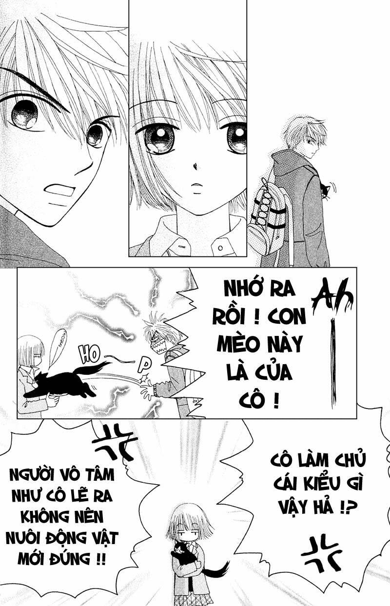 Dự Án Kéo Vàng: Chapter 11