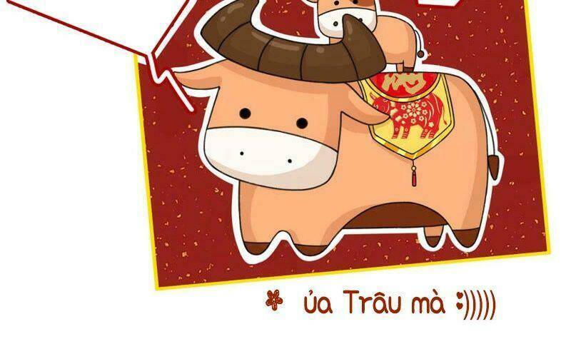 Quận Chúa Vững Vàng, Thiết Lập Nhân Vật Không Thể Vỡ: Chapter 40.5