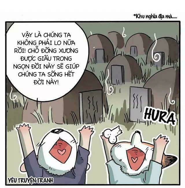 Bạn Trai Tôi Là Cáo Cam: Chapter 1