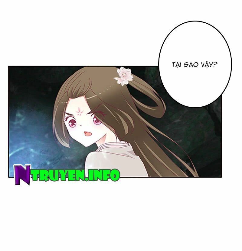 Thông Linh Phi: Chapter 428
