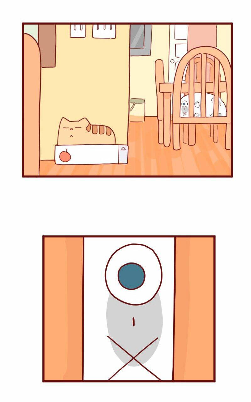 Saphie: Chú mèo một mắt: Chapter 10