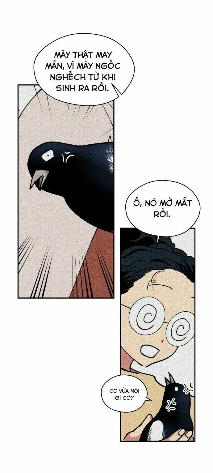 Tai Sói Và Mũ Đỏ: Chapter 42