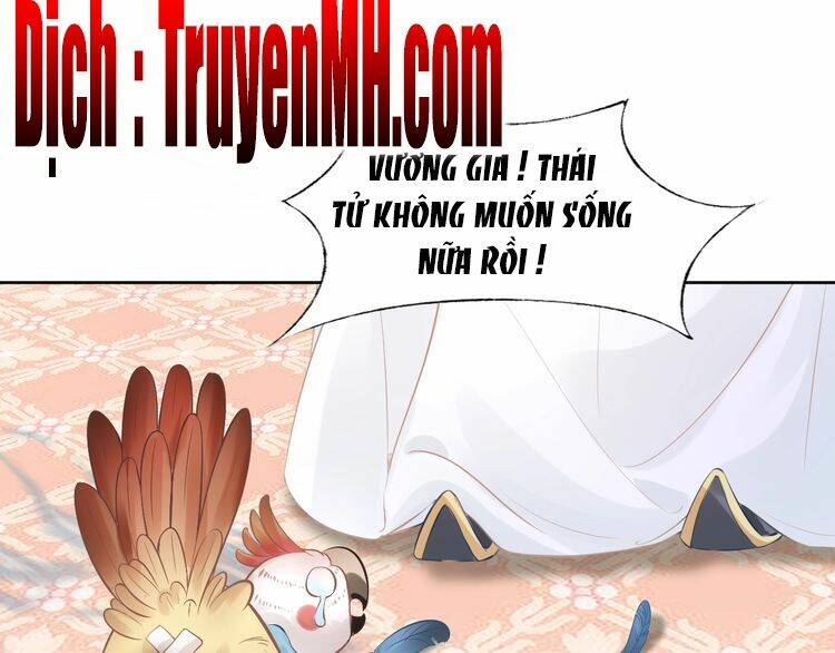 Nhất Sinh Nhất Thế Tiếu Thương Khung: Chapter 7