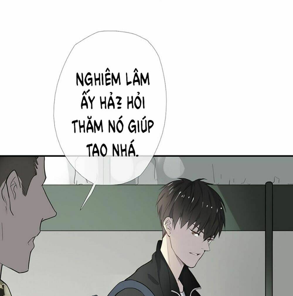 Thiếu Niên Rắc Rối: Chapter 6