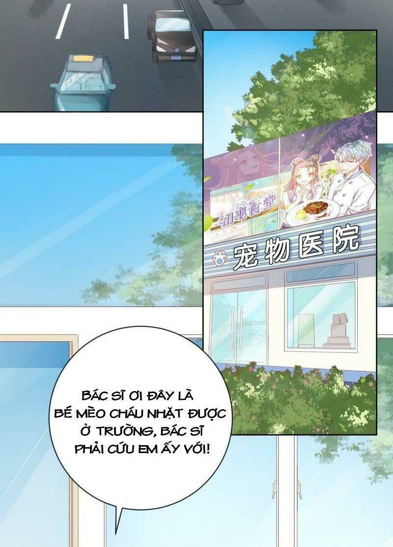 Thập Nhị Hắc Miêu: Chapter 1