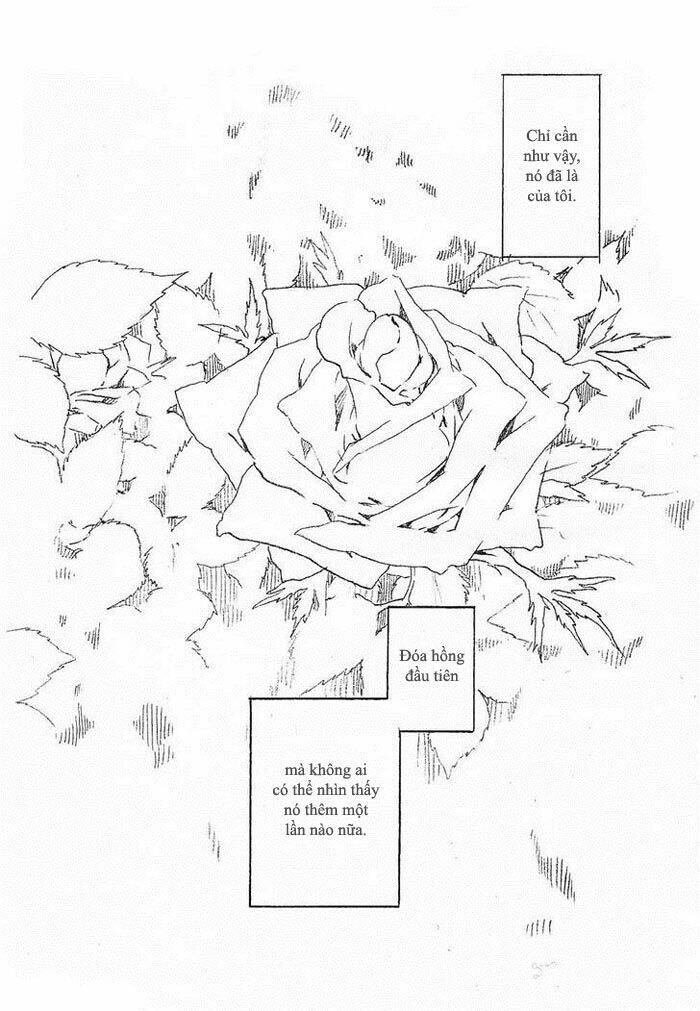 Maiden Rose-Special: Chapter 11.2