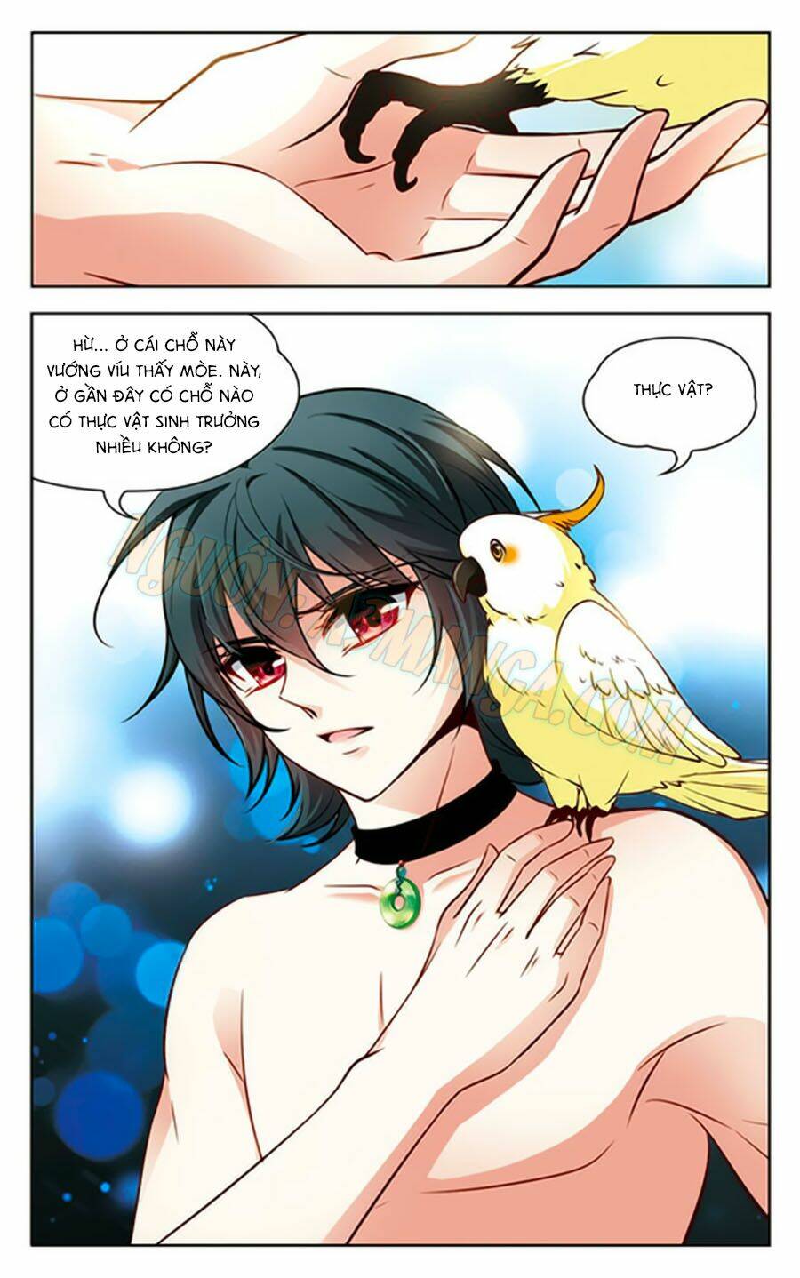 Huyền Vũ Luyến Ca: Vạn Vật Sinh Linh: Chapter 2.5