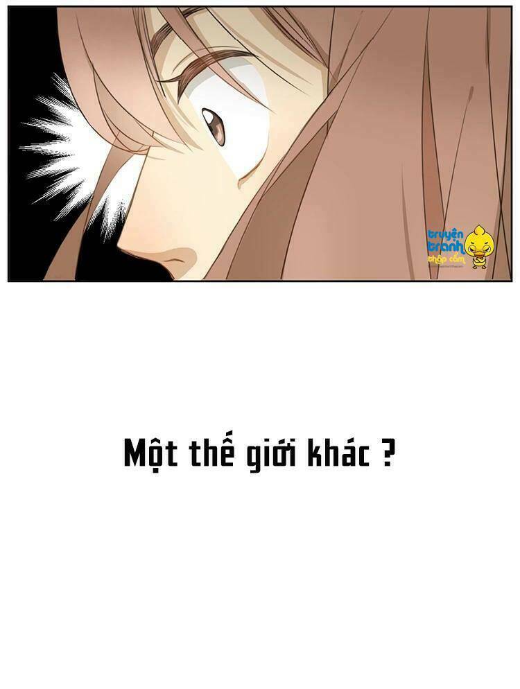 Cứu Mạng! Loài Mèo Thống Trị Thế Giới Rồi!: Chapter 2